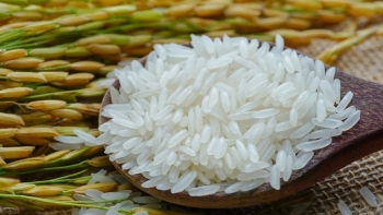 Hàn Quốc mở thầu mua gạo theo cơ chế hạn ngạch thuế quan