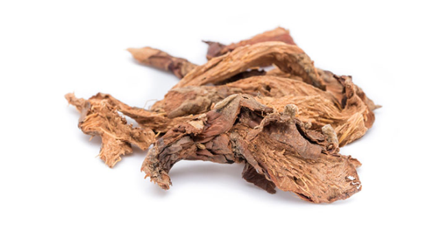 Những tác dụng tuyệt vời từ cây Thiên niên kiện đối với người cao tuổi