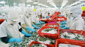 Bức tranh ảm đạm ngành thủy sản