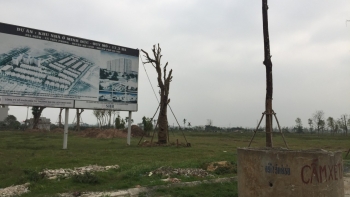 Hà Nội xem xét thu hồi đất đối với các dự án chây ỳ nợ thuế