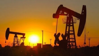 Giá xăng dầu hôm nay 4/9: Đồng loạt giảm