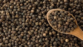 Xuất khẩu hạt tiêu tháng 7/2021 đạt 26,3 nghìn tấn