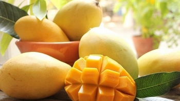 Nhiều cơ hội để đẩy mạnh xuất khẩu nông sản sang thị trường Nga