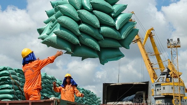 Xuất khẩu gạo giảm, doanh nghiệp khó chồng khó vì nghẽn cảng