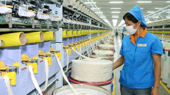 Xuất khẩu hàng hóa sang Ai Cập phải đăng ký theo quy định mới