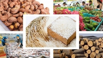 Xuất khẩu nông, lâm thuỷ sản đạt hơn 32 tỷ USD trong 8 tháng