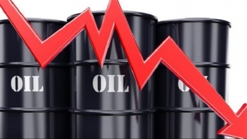 Giá xăng dầu hôm nay 7/9: Đà sụt giảm chưa ngừng