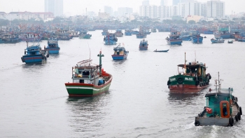 Bão CONSON: Kêu gọi tàu thuyền, ngư dân vào nơi tránh trú an toàn