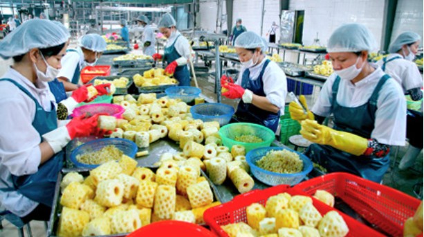 Xuất khẩu nông, lâm thủy sản sang Nga tăng trưởng mạnh