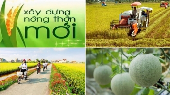 Thành lập Hội đồng thẩm định Chương trình xây dựng Nông thôn mới giai đoạn 2021 – 2025
