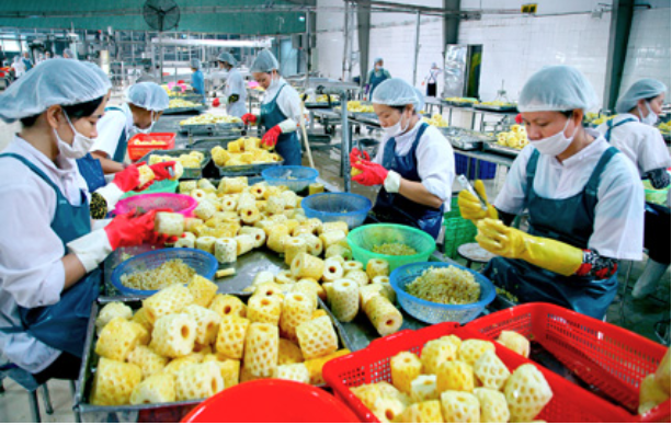 xuất khẩu nhiều nhất sang thị trường Nga, đạt kim ngạch 14,6 triệu USD