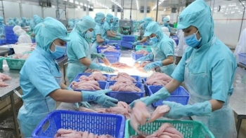 Xuất khẩu thủy sản trong tháng 8/2021 giảm gần 28%