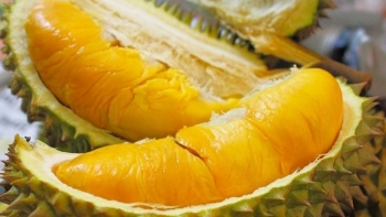 Sầu riêng Ri6 của Việt Nam tiếp tục "cháy hàng" tại Australia