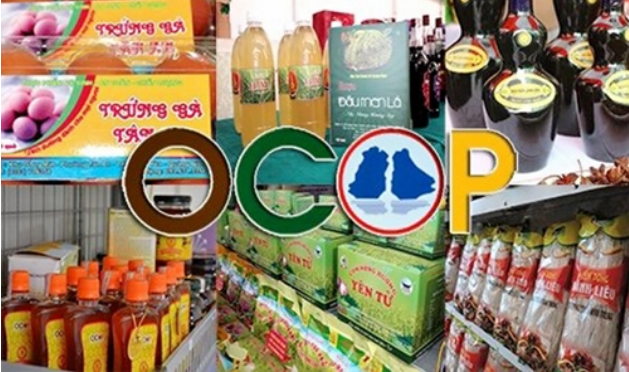 Chủ thể OCOP cần biết gì về tiêu chí đánh giá sản phẩm?