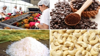 Câu chuyện Sơn Tinh – Thủy Tinh và bài học xây dựng thương hiệu cho nông sản Việt