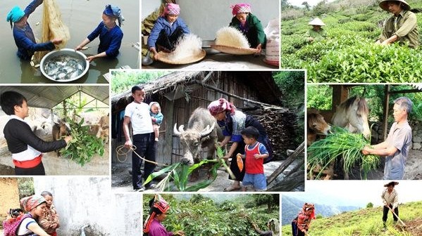 17 mục tiêu phát triển bền vững của Việt Nam