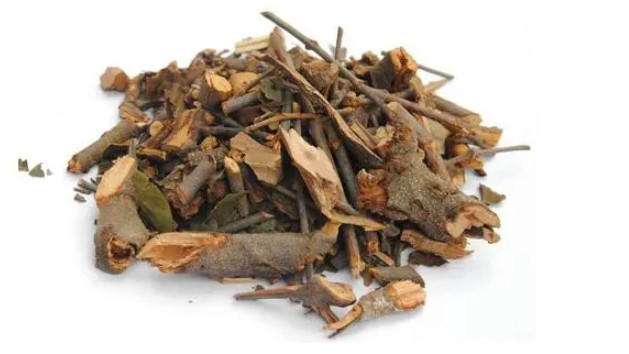 Thu hồi lô dược liệu Tang ký sinh do không đạt tiêu chuẩn chất lượng