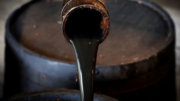 Giá xăng dầu hôm nay 18/9: Đồng loạt giảm mạnh