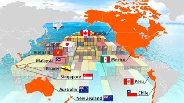 Xuất nhập khẩu một số mặt hàng "hái quả ngọt" từ CPTPP