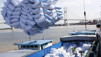 TT gạo Châu Á: Giá xuất khẩu gạo Việt tăng