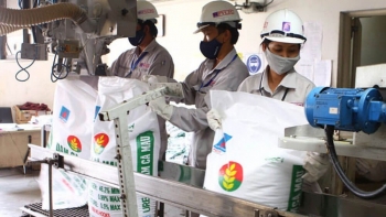 Xuất khẩu phân bón chủ yếu sang thị trường Canpuchia