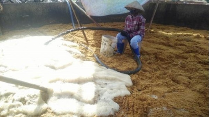 Thanh Hóa: Xử phạt Công ty CP chế biến lâm sản Quan Sơn 60 triệu đồng