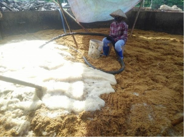 Thanh Hóa: Xử phạt Công ty CP chế biến lâm sản Quan Sơn 60 triệu đồng