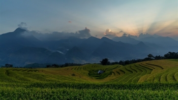 Sa Pa mùa thu “bỏ bùa” du khách