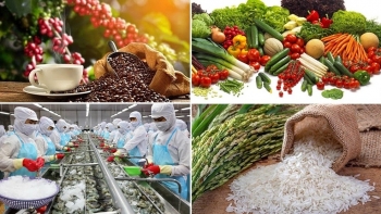 Thủ tướng chỉ đạo thúc đẩy sản xuất, lưu thông, xuất khẩu nông sản