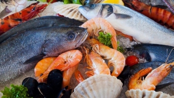 Việt Nam nhập khẩu thủy sản nhiều nhất từ thị trường Ấn Độ