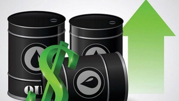 Giá xăng dầu hôm nay 24/9: Dầu Brent vượt mức 77 USD