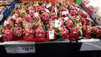 Được đánh giá 5 sao, thanh long Việt Nam rộng đường vào Australia