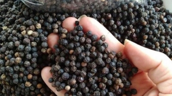 Xuất khẩu hạt tiêu dự báo khả quan những tháng cuối năm