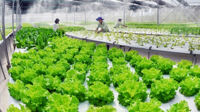 Nối lại chuỗi sản xuất bền vững để thích ứng với xu hướng và cách thức tiêu dùng mới