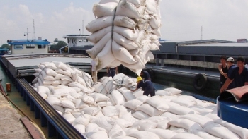 Thị trường gạo châu Á: Giá gạo xuất khẩu của Việt Nam tiếp tục tăng