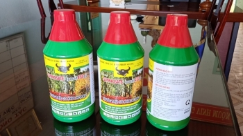 Bản tin hàng giả hàng nhái: Phát hiện cửa hàng bán thuốc bảo vệ thực vật chứa chất cấm