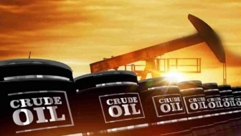 Cập nhật giá xăng dầu hôm nay 30/9/2021: Tăng trở lại