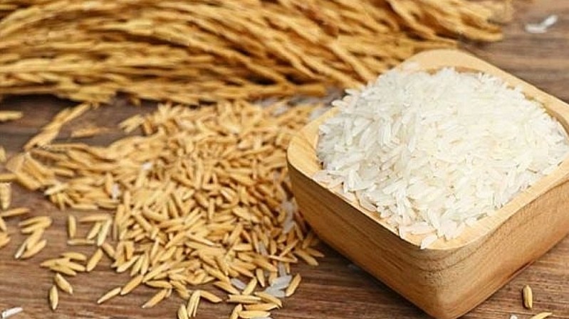 Cập nhật giá lúa gạo hôm nay 30/9/2021: Duy trì ổn định