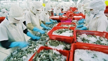 Thực thi EVFTA: Cấp gần 15.000 bộ Giấy chứng nhận xuất xứ hàng hóa