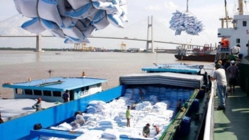 Xuất khẩu gần 2 triệu tấn gạo qua cảng TP.HCM