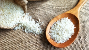 Cập nhật giá gạo hôm nay 4/10: Giá gạo xuất khẩu giảm nhẹ