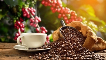 Giá cà phê thế giới tiếp tục xu hướng giảm trong tháng 10
