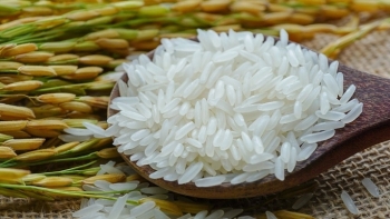 Cập nhật giá gạo chiều nay 7/10: Giữ giá