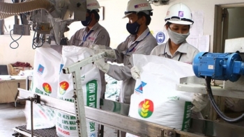 Bộ Tài chính: Đề xuất mức thuế GTGT 5% với phân bón để hỗ trợ doanh nghiệp