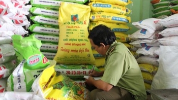 Thủ tướng: Xử lý nghiêm những tổ chức, cá nhân sản xuất phân bón giả