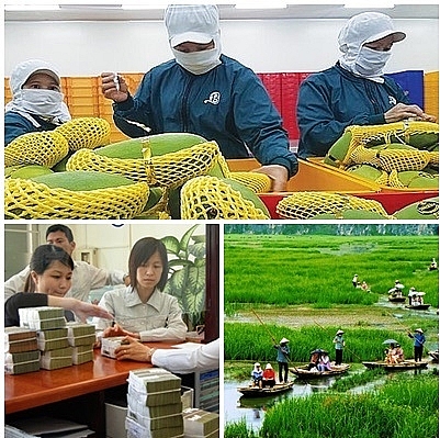 Nghị quyết phiên họp Chính phủ thường kỳ tháng 9/2020