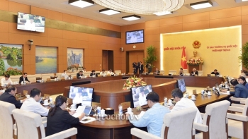 UBTVQH thảo luận chủ trương chuyển mục đích sử dụng rừng phòng hộ