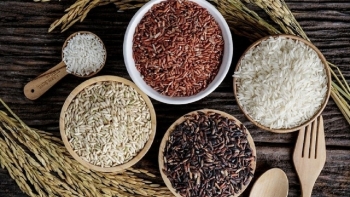 Cập nhật giá gạo hôm nay 15/10: Ổn định