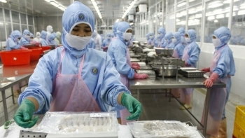 VASEP tiếp tục kiến nghị bỏ quy định về mã số mã vạch nước ngoài cho hàng xuất khẩu