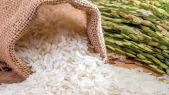 Cập nhật giá gạo hôm nay 21/10: Tăng từ 100 – 300 đồng/kg